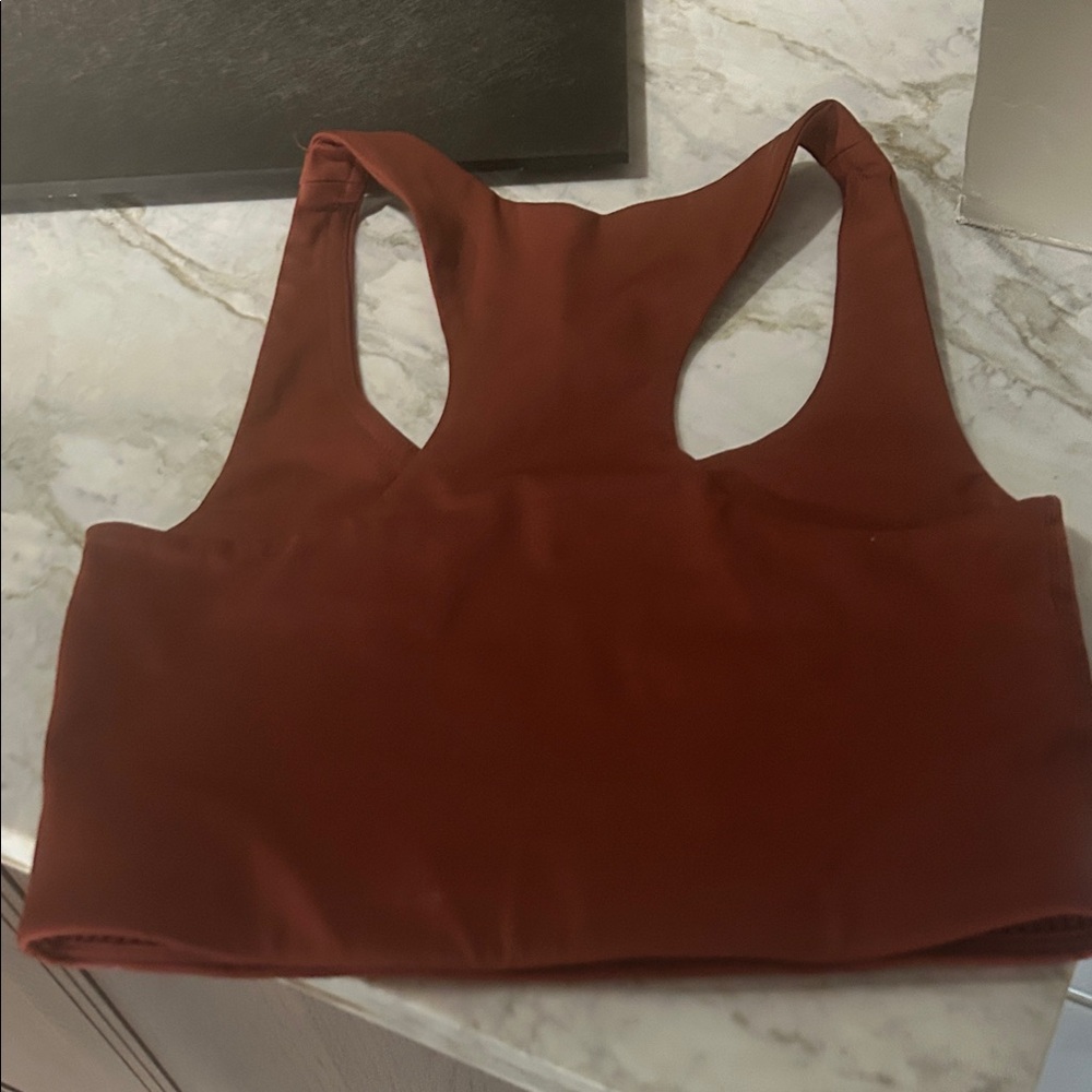 Girlfriend collective Rust Red Sports Bra